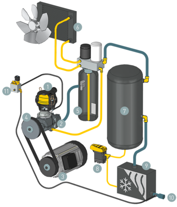 Estructura de los SXC